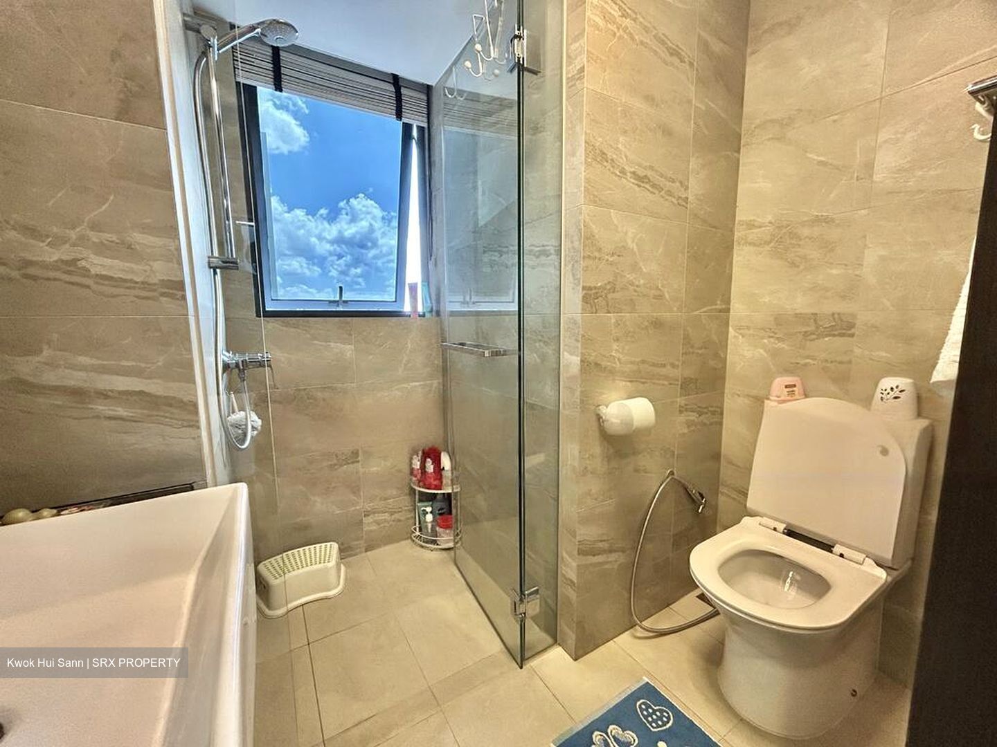 Riverfront Residences (D19), Apartment #476353541